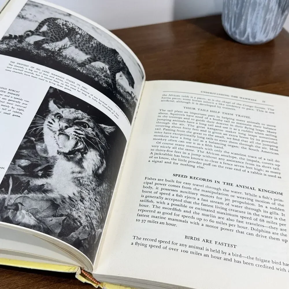 The Illustrated Encyclopedia of Animal Life Mammals Vol 1 Greystone Press 1952